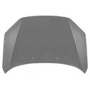 Капот в сборе LADA 2190 гранта 21900-8402010-70-гранта