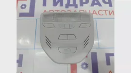 Плафон салонный передний Lada Vesta 8450006958
